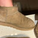 UGG Ankle Booties Photo 0