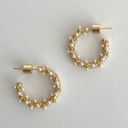 Gold Pearl Hoop Earrings Photo 0