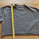 Brandy Melville  Cropped Sweatshirt in Gray Taupe Color Photo 4