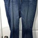 Lane Bryant  Distinctly Bootcut Curve Hugging Contrast Stitching Jeans Sz 16P Photo 0