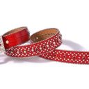 NEW RHINESTONE EMBELLISHED RED SILVER FASHION BELT Photo 3