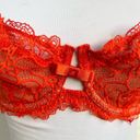 Frederick's of Hollywood  Lace Balconette Bra 36B Adjustable Straps Bow Accent Photo 4