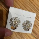 Charter Club Silver Tone Faux Pearl & Rhinestone Cluster Earrings Butterfly Photo 0