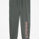 Timberland Logo Sweatpant in Dark Olive Photo 1