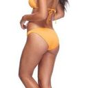 Body Glove  Yellow Korcula Swim Bikini Bottom Size L Photo 1