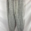 Thread and Supply  Marled Grey Jogger Sweatpants Grey Size Medium Photo 0