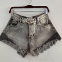 One Teaspoon Bandits Relaxed Fit Shorts Photo 0