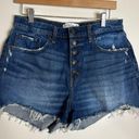 Abercrombie & Fitch  high rise fly button mom shorts curve love size 30 Photo 1