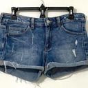 Mango Denim & Tees Blue Denim Cut Off Cuffed Shorts with Frayed Hem Size 6 Photo 0
