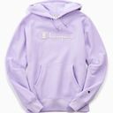 Champion  Urban Outfitters Exclusive Reverse Weave S Boyfriend Hoodie Sweatshirt Photo 1