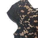 Esley  Black & Cream Lace Overlay Short Capped Sleeve Bodycon Dress Women Sz S Photo 4