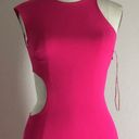 Halston Heritage Halston Pink Cutout Formal Gown Revolve Photo 6