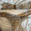 Tigerlily  cheetah bikini Photo 2