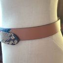 Gap  Vintage Western Style Leather Belt Photo 4