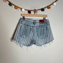 One Teaspoon One X Teaspoon striped denim cut off shorts Photo 3