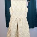 Tracy Reese Plenty Frock! By  Brocade Dress, After 2006 Sz 2 Photo 8