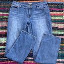 J.Jill  Straight Leg Blue Jeans Size 8 Photo 0