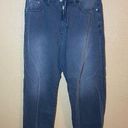 Pilcro  Anthropology Wide Leg Grey Jeans Size 31 Photo 0