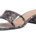 Coconuts by Matisse NEW  Luau  Snakeskin Cutout Heeled Sandal Slide Photo 0