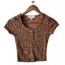 Hippie Rose  Junior's Leopard Print Short Sleeve Knit Top NWOT Medium Photo 0