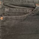 Patagonia  Corduroy Pants - Women's Photo 9