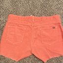 Carve Designs  Coral corduroy Women Shorts 6 Photo 2