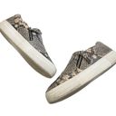 Steve Madden  Women's Glaammar Slip On Platform Sneaker In Snake - Gray, 7US Photo 6