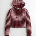 Hollister Striped Hooded Crop Top in Burgundy size S Photo 2