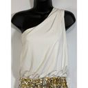 City Triangles  One Shoulder Sequin Dress Photo 1