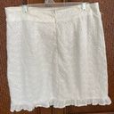 Francesca's white eyelet lace mini skirt Photo 1