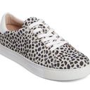 Jack Rogers  Women's Rory Sneaker Lace-Up Round Toe Black/White‎ Dots Size 8M Photo 0