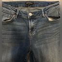 Dear John  joy rich comfort skinny jeans size 27 Photo 3