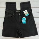 Denim & Co NEW  Stonewashed Black Vintage Mom High Waist Jeans Size 8 Photo 0