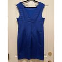 Tracy Reese Plenty Dresses by  Jilian Scuba Lazer-Cut Dress Sz 14 Cobalt Blue NWT Photo 8