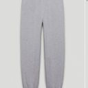 Tna aritzia sweatpants Gray Photo 0