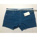 Carve Designs Womens  Oahu Shorts Turquoise Corduroy Raw Hem Stretch Beach Sz 14 Photo 4