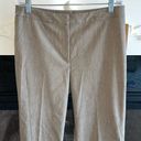 Alex Marie  Trousers Washable Wrinkle Free Worry Free Pants Womens 6 Flare Alexa Photo 7