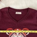 Hollister  Co. Burgundy Sweater Tiger Bear Cat Red BOHO V neck Small Photo 3