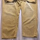 Pilcro  Tan Corduroy Slim Boyfriend Crop Pants - Size 22W Photo 6