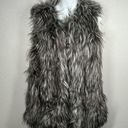 Signature Studio  Mob Wife Grey Faux Fur Vest Size Med Photo 0