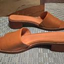 Madewell EUC  Mule Sandals Photo 1