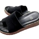 Eileen Fisher  Tarry Toe Loop Espadrille Wedge Slide Sandal Black Women’s 6 Photo 1