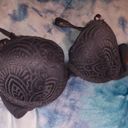 Bebe Grey Push Up Bra Photo 1