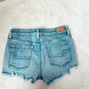 American Eagle Outfitters Shorts Photo 1