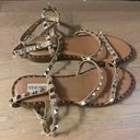 Steve Madden Sandals Photo 1