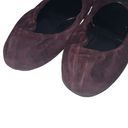 Burberry Maroon Suede Medallion Ballet Flats Photo 4