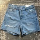 American Eagle Outfitters Shorts Photo 0