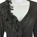 Petal JAIPUR Womens SZ L Sheer Autumn  Scrunch Long Sleeve Pleated Blouse Black Photo 2