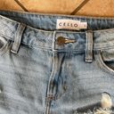Cello Distressed jeans Photo 2