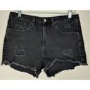 William Rast  Perfect Shorts - Size 28/29 Jr - EUC Photo 6